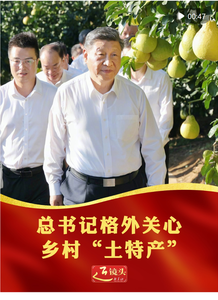 截图20251108110956