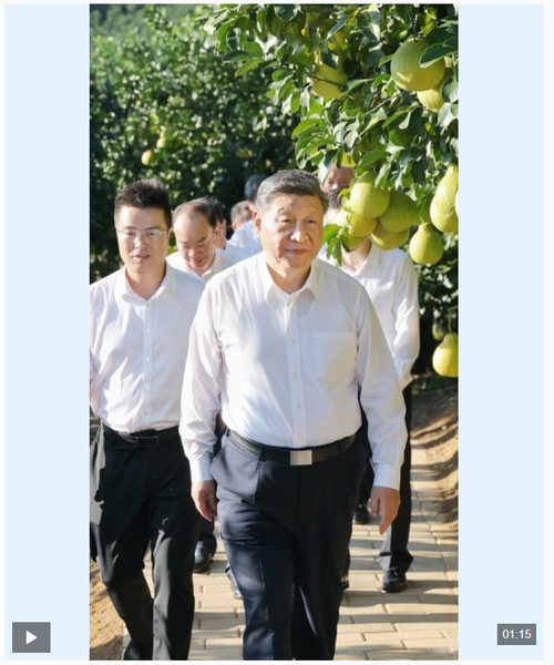 截图20251109093306