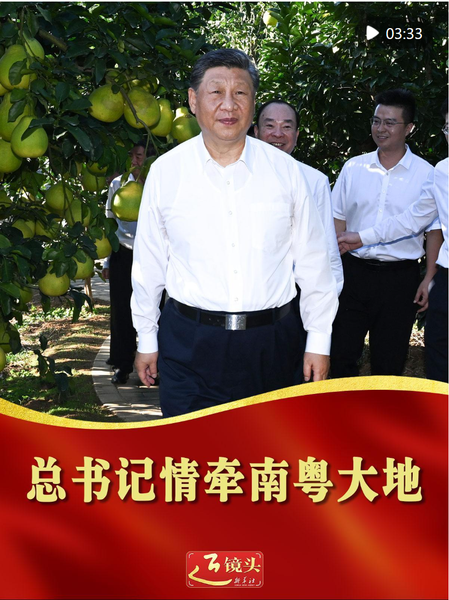 截图20251109163135