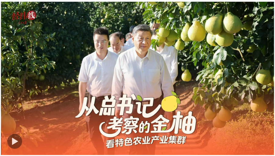 截图20251109163320