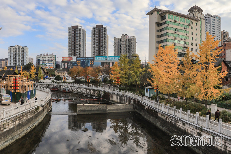 　　11月25日，在安顺古城及贯城河边上，金黄的银杏与古城相映成景。市民游客在一片金色的秋冬美景中，感受这座古城独特的历史韵味和自然风光。（安顺市融媒体中心记者 卢维 摄）