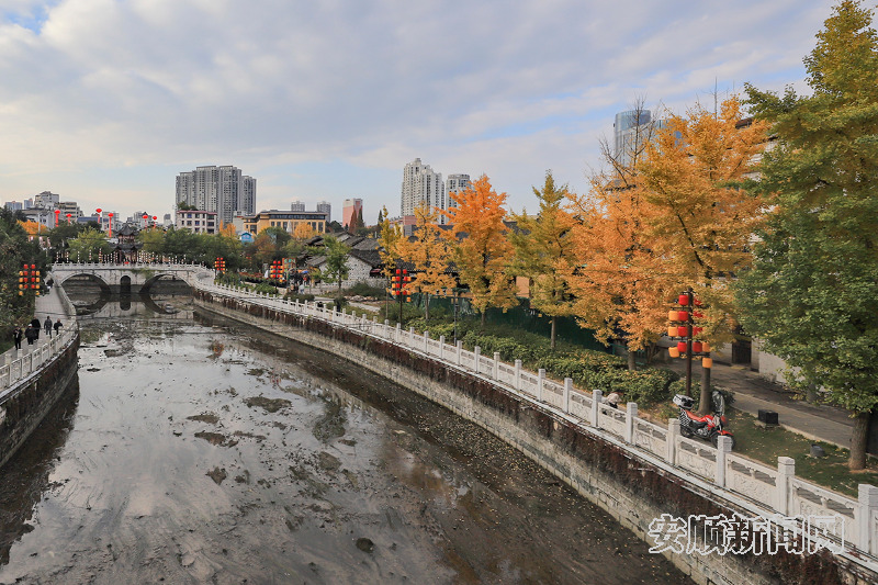 　　11月25日，在安顺古城及贯城河边上，金黄的银杏与古城相映成景。市民游客在一片金色的秋冬美景中，感受这座古城独特的历史韵味和自然风光。（安顺市融媒体中心记者 卢维 摄）