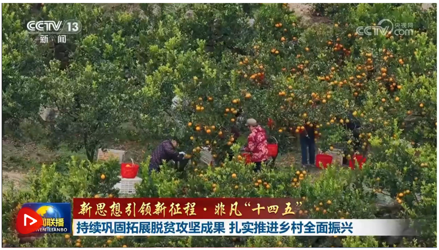 截图20260226205852