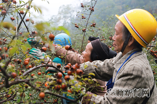 mmexport1563171503102