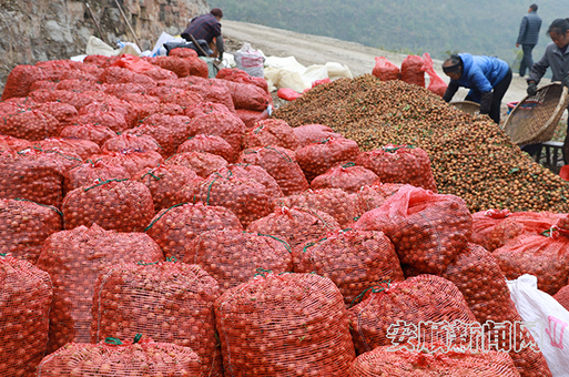 mmexport1563161395216