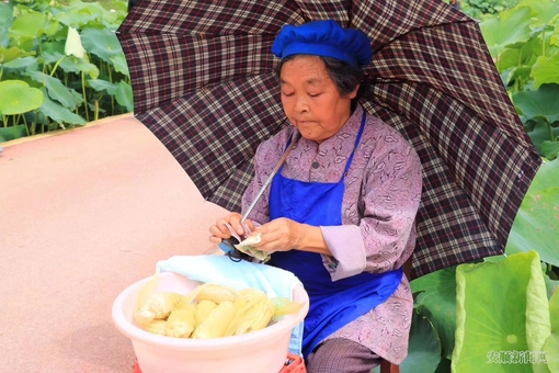 177F0180-9987-4F32-AEE5-175F07FA5513_IMAGE_0_LOW_0