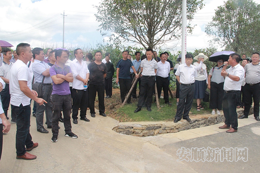 图为高田村村支书朱高学为观摩成员解说