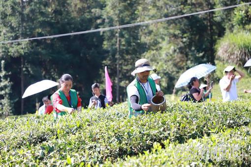 6dd86e57-c67e-44fc-80dd-bebf71baf08f_IMAGE_1_副本.jpg 6dd86e57-c67e-44fc-80dd-bebf71baf08f_IMAGE_1_副本.jpg