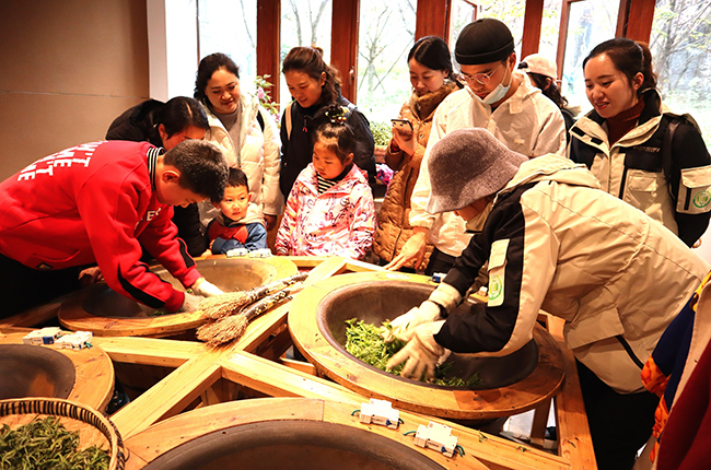 　　3月21日，西秀区旧州镇茶岭村茶场迎来了一批小客人，他们在家长和老师的带领下体验采茶乐趣，制作成品干茶，学习茶叶知识。图为旧州小锅茶体验馆内孩子们在老师指导下学习做绿茶。（安顺日报社大数据智慧全媒体记者 刘现虹）