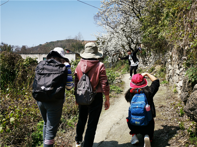 　　3月，一个美好的季节。草木蔓发，春山可望，绿树四合，芳草含翠。许多市民利用三八节的好时光，走向户外，去感受一场与花儿的约会，与大自然亲密接触。安顺日报社大数据智慧全媒体记者 刘现虹  摄