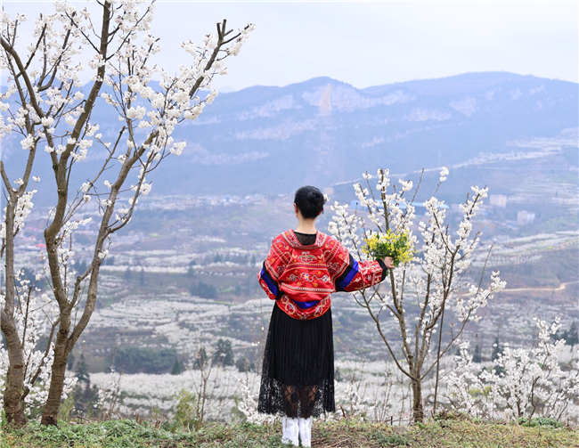 　　3月，一个美好的季节。草木蔓发，春山可望，绿树四合，芳草含翠。许多市民利用三八节的好时光，走向户外，去感受一场与花儿的约会，与大自然亲密接触。安顺日报社大数据智慧全媒体记者 刘现虹  摄