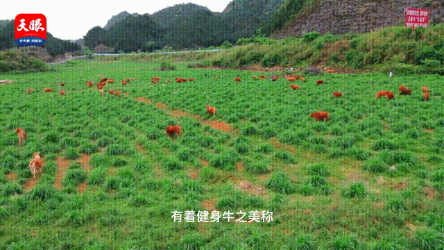 5月28日_3 00_00_00-00_00_30.gif