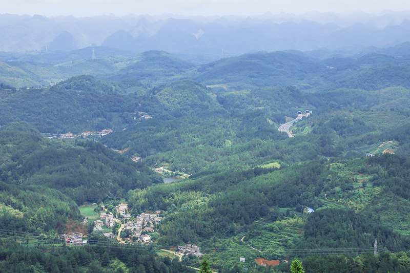 盛夏时节，记者走进镇宁自治县革帮村跳花坡，山顶，一座座高大挺拔的风力发电塔将蓝天、白云相连；山坡上，占地面积800余亩的生态茶园，村民正忙着采茶；山脚下，保留较为完好的苗族文化建筑遥相呼应，形成一幅美丽的生态乡村画卷。近年来，镇宁革帮村立足生态资源优势，抢抓政策机遇，以“风 茶 文旅”特色乡村旅游产业为基础，整合优势资源，延伸产业链，打好高质量发展的基础。（安顺日报社大数据智慧全媒体记者 陈婷）