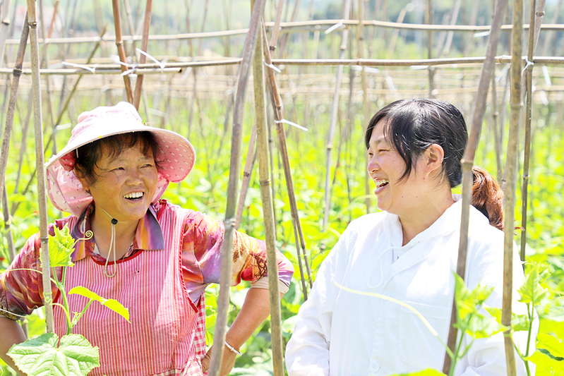 陈佳琴与当地农户交谈，指导种植技术.jpg