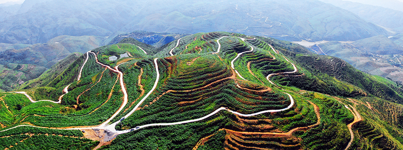 关岭新铺镇万亩饲草基地.jpg