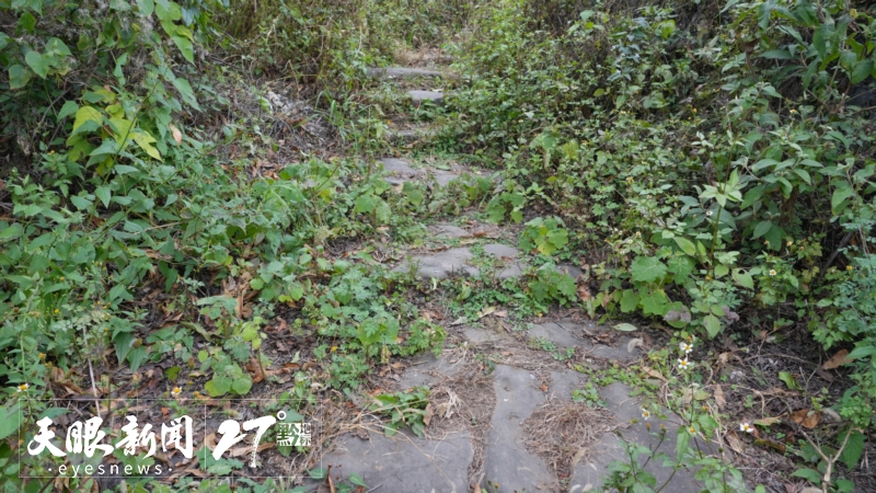 七星关古驿道_a.jpg