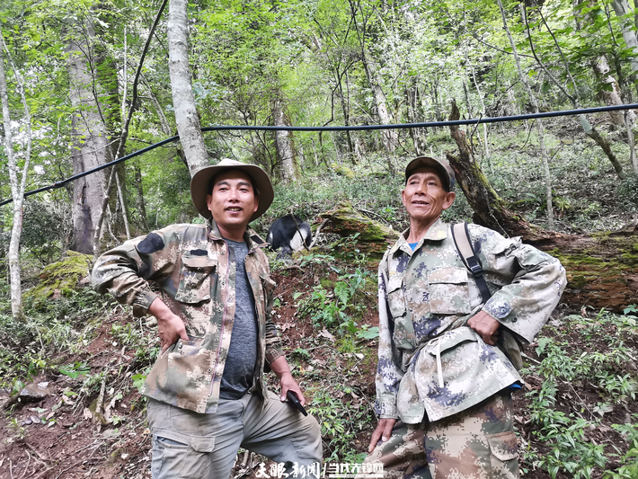 余忠华与父亲一同巡林（云南日报供图）.jpg