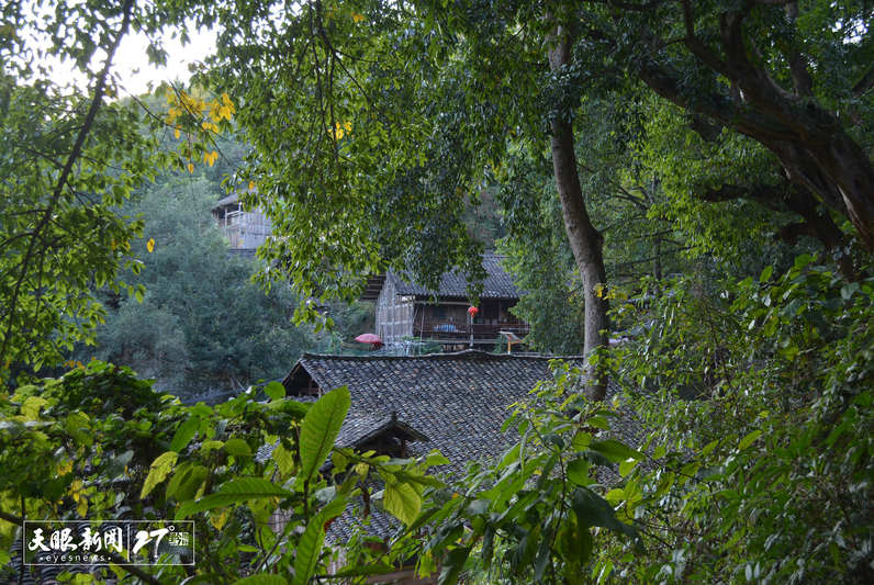 3 南龙古寨一片葱茏。.jpg