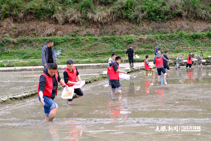 黔东南州锦屏县党员生产队在平略镇帮助无劳力群众洒谷育苗。（杨宗榜、徐绍波摄）.jpg