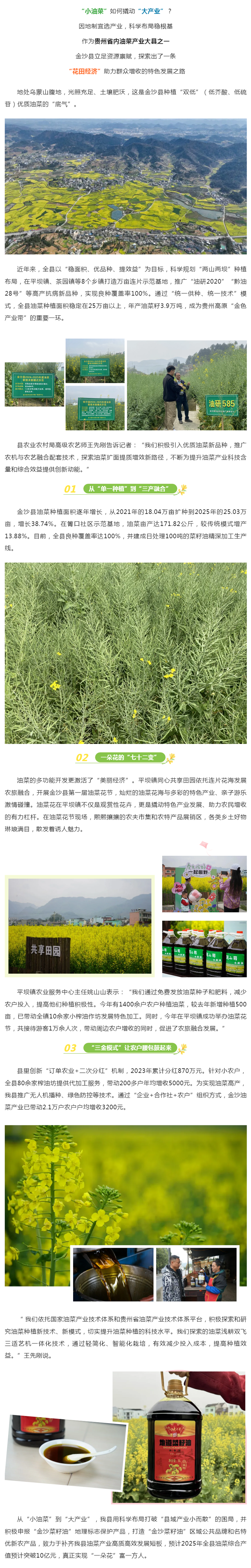“小油菜”撬动“大产业”