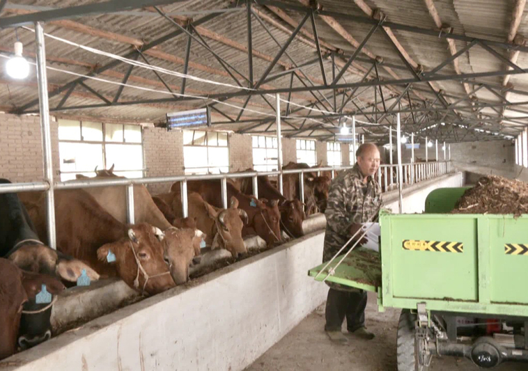 安顺经开区安湖村：生态科技双驱动 肉牛产-FZ1002633491.jpg