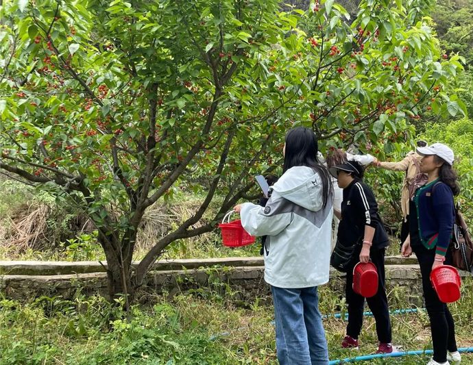 binary_large (2).jpg