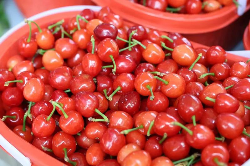 binary_large (1).jpg