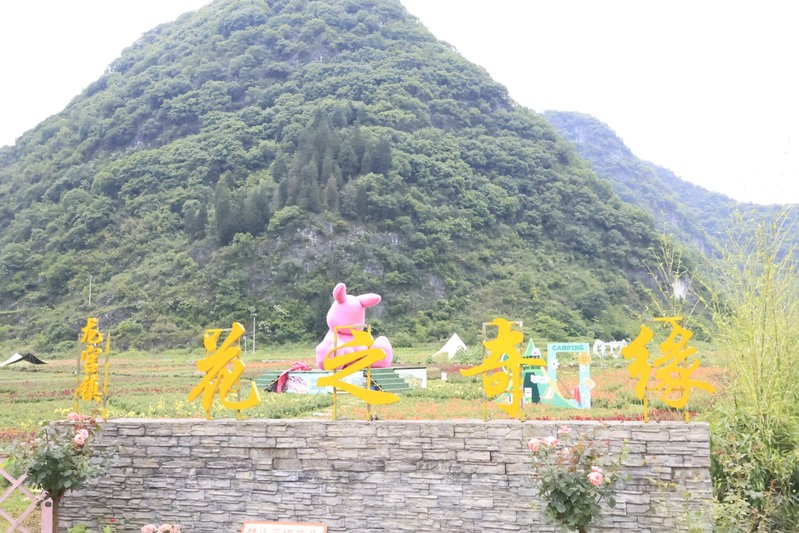 龙宫花之奇缘：以花为媒 绽放乡村振兴新图-FZ1002856615.JPG