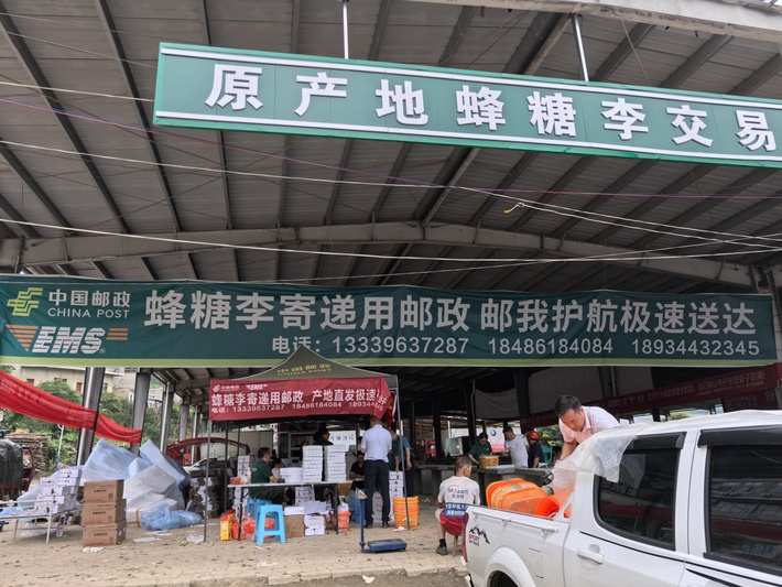 蜂糖李邮寄点1.jpg