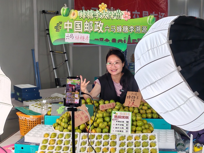 蜂糖李直播售卖.jpg