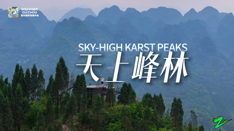 17585224296557.jpg 17583689865826.jpg