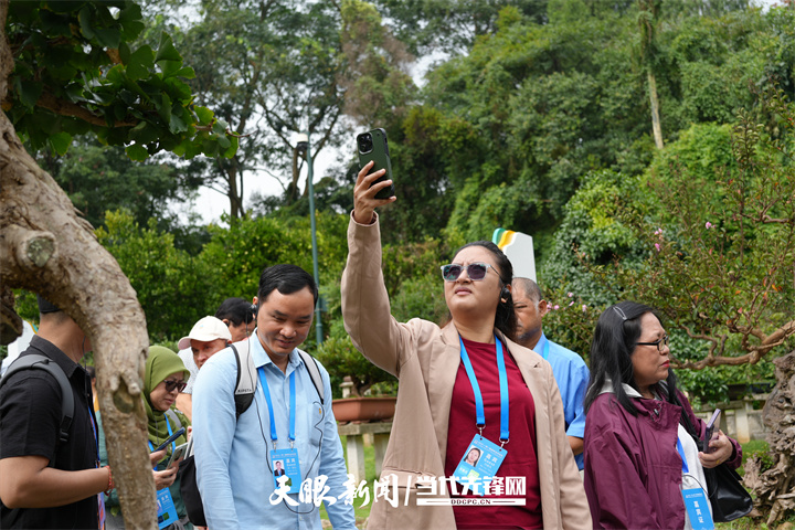 17585033194010.jpg 17584790133055.jpg