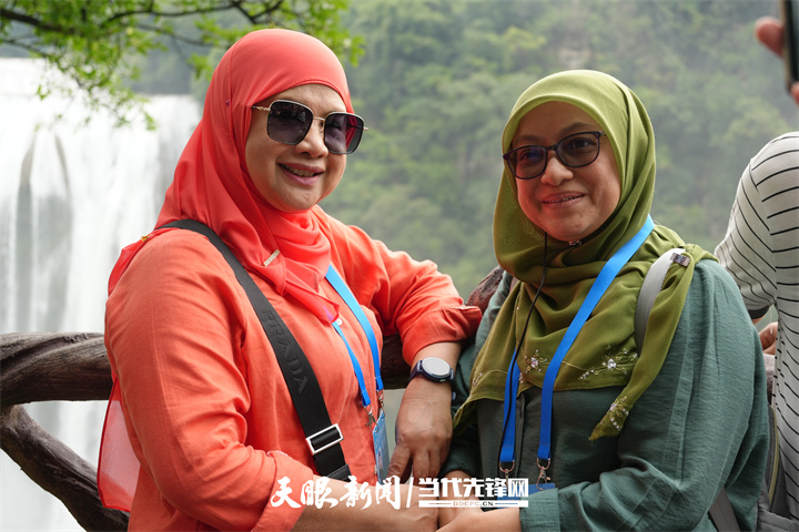 17585033261981.jpg 17584790175709.jpg