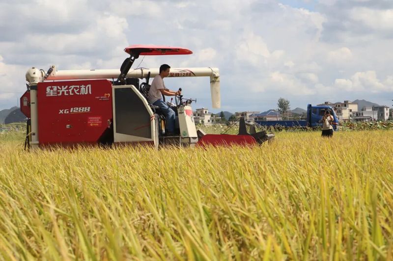 联合收割机驰骋沃野-FZ10021167660.jpg