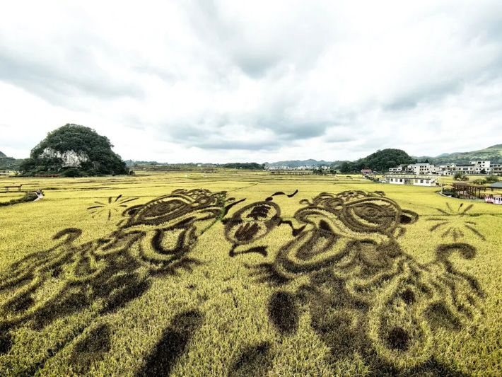 昊禹.稻花香里景区的稻田画.jpg