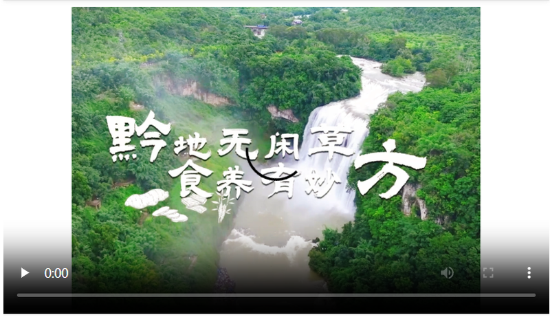 QQ截图20251013225424.png