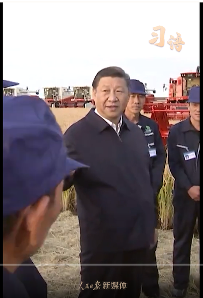 QQ截图20251016164324