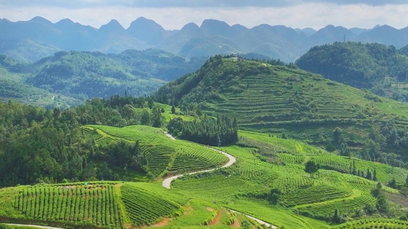 027e580565de1a72da1fa07b9328dc6e.jpg 027e580565de1a72da1fa07b9328dc6e.jpg