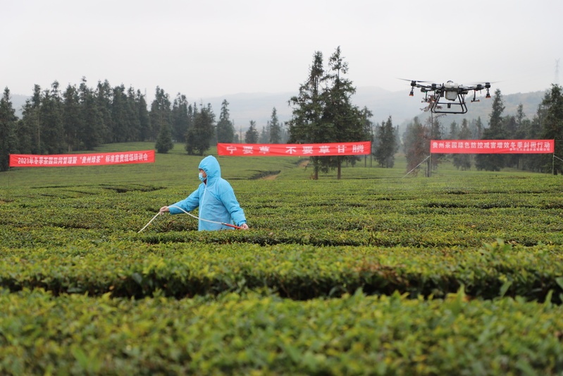 无人机在茶园作业的现场-FZ10021258712.jpg