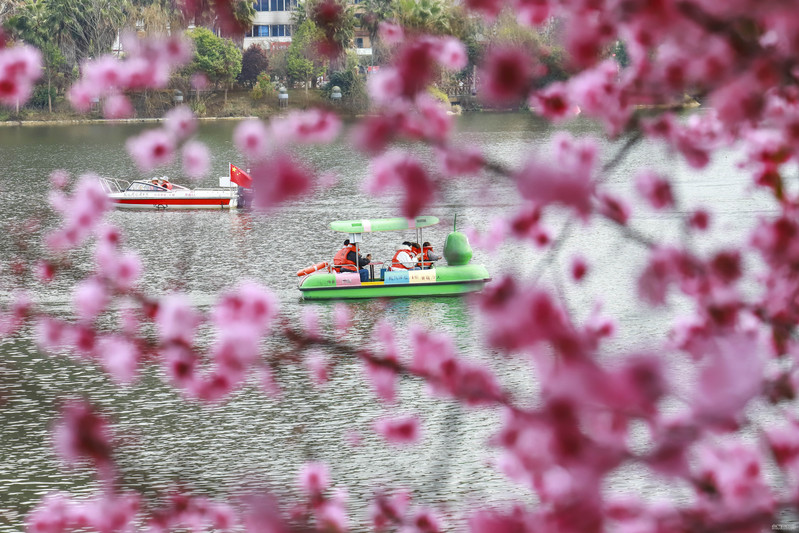 2月22日，游客在虹山湖公园划船赏花1。