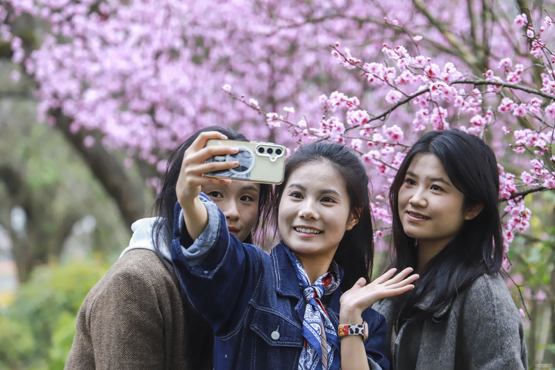 2月22日，游客在虹山湖公园赏花游玩中拍照打卡。