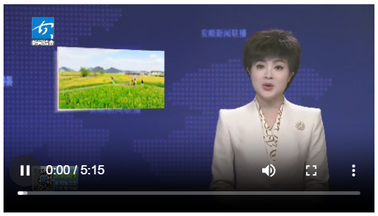 截图20260311161526