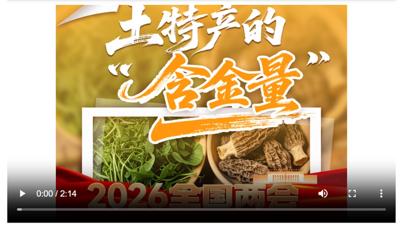 截图20260311180755