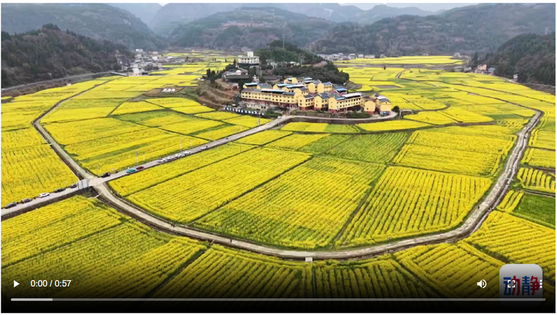 截图20260311181332